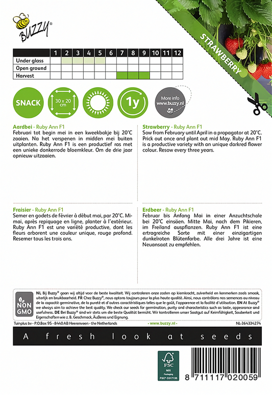 Back of the Buzzy® Ruby Ann F1 Strawberry seed packet with sowing and growing instructions.