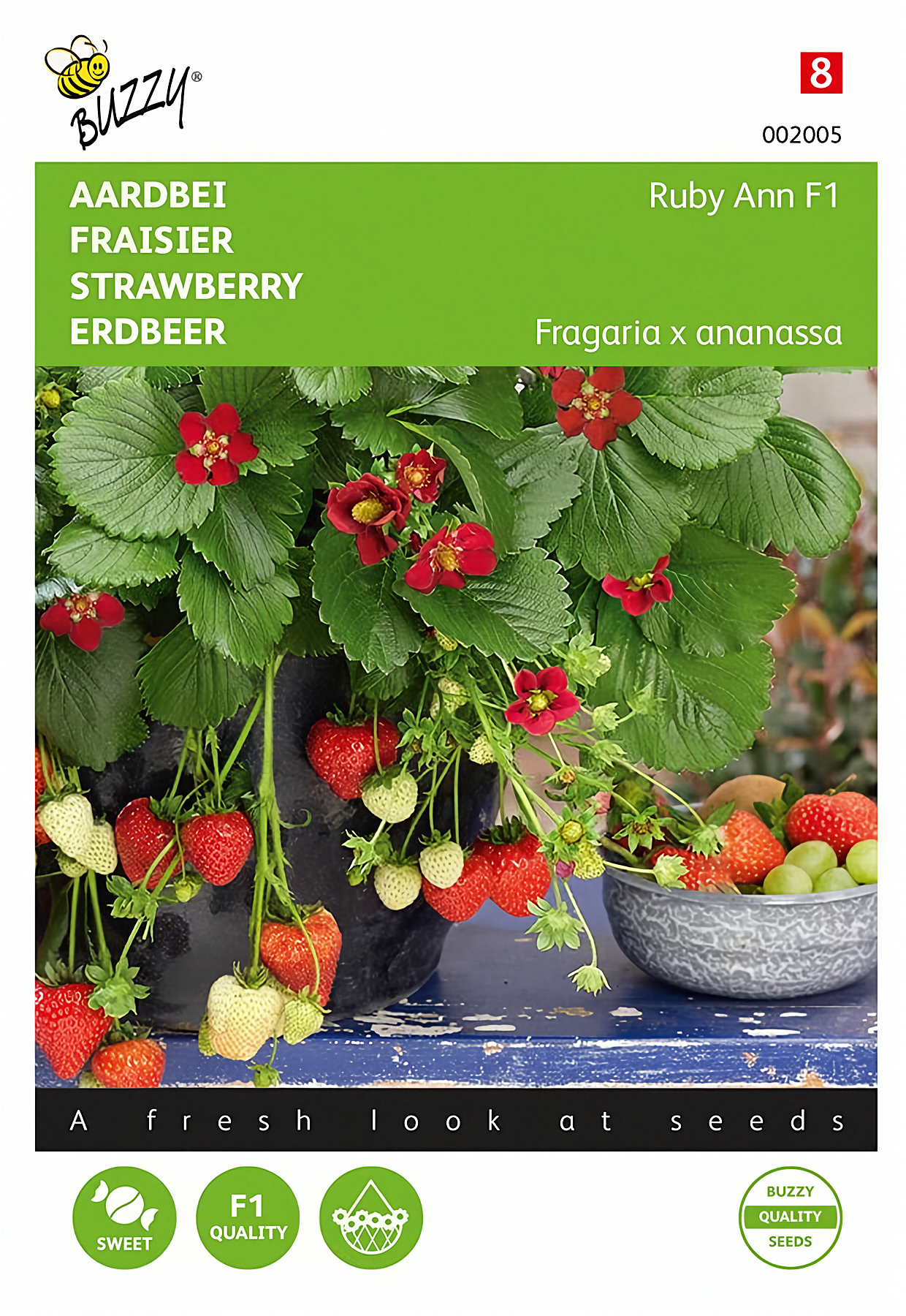 Front of the Buzzy® Ruby Ann F1 Strawberry seed packet.