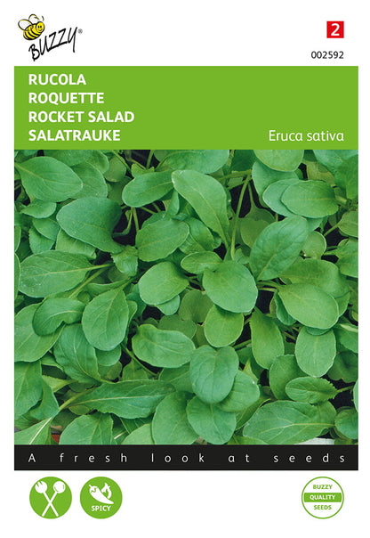 Rucola-salaattikasvin siemenpussin etupuoli, jossa vihreitä, rosoisia lehtiä.