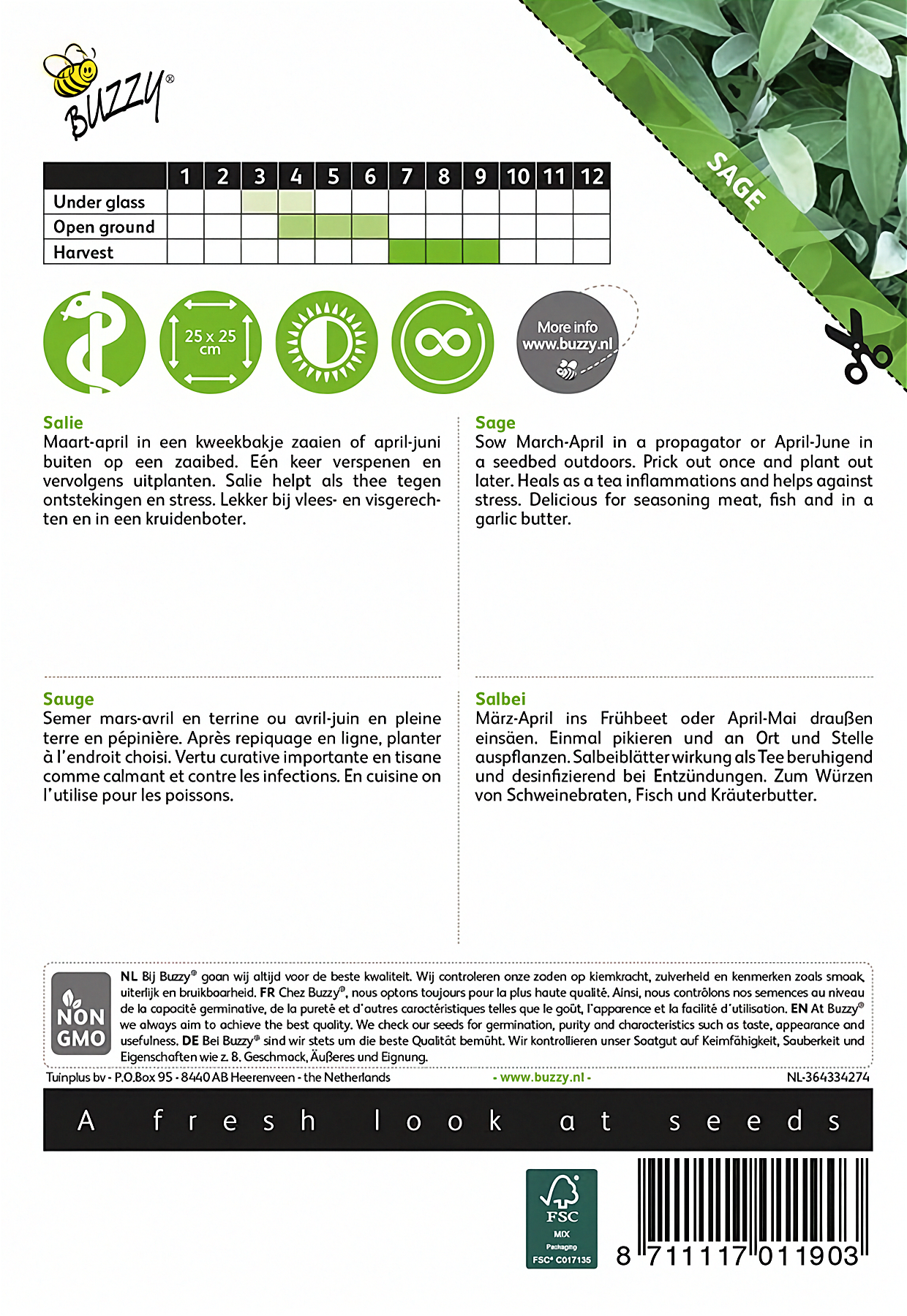 Back of the Buzzy® Sage (Salvia officinalis) seed packet with sowing and growing instructions.