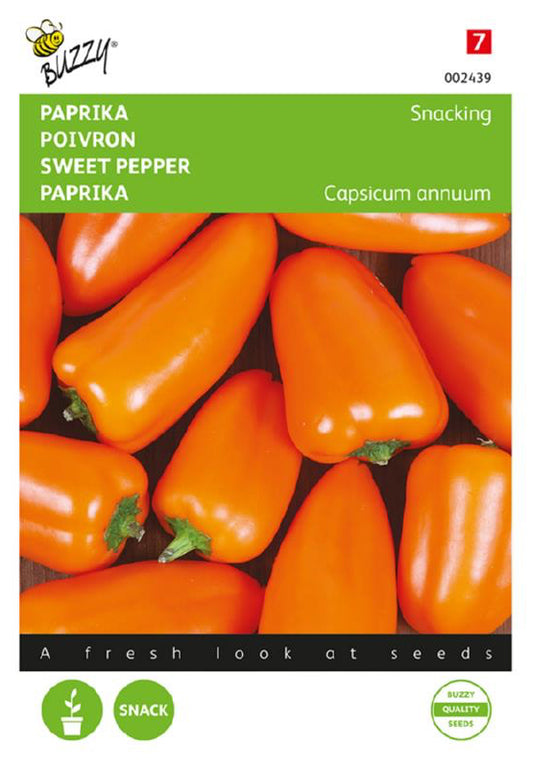 Snacking Mini Orange paprika frön – Capsicum annuum