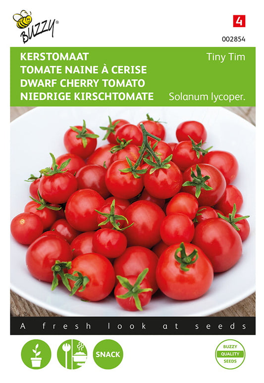 Tiny Tim -kääpiötomaatin siemenpussin etupuoli, jossa näkyy kypsiä punaisia kirsikkatomaatteja pienessä kasvissa.