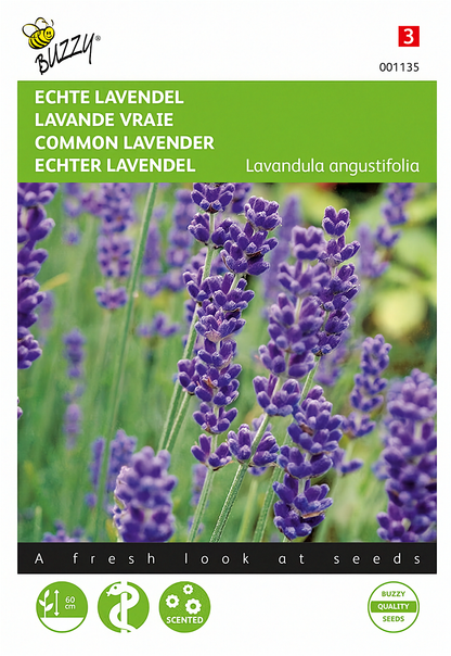 Front of the Buzzy® True Lavender (Lavandula angustifolia) seed packet.