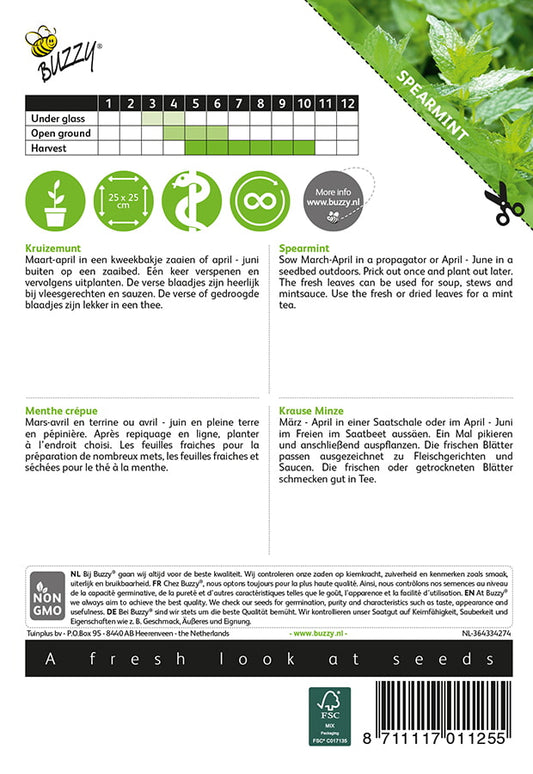 Viherminttu (Mentha spicata) -siemenpussin takapuoli, jossa ohjeet kylvöön ja hoitoon