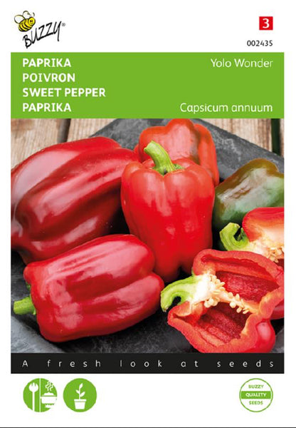Yolo Wonder paprika siemenet – Capsicum annuum